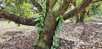 article image - 